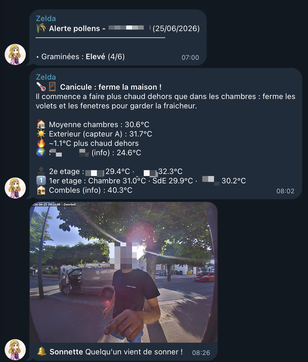 Phone screenshot: Telegram alert from the home server